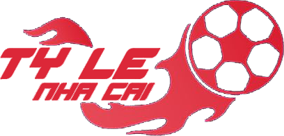 vntylenhacai.com Logo